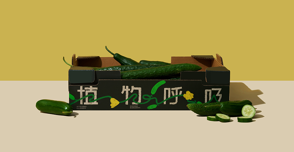 植物呼吸全案设计