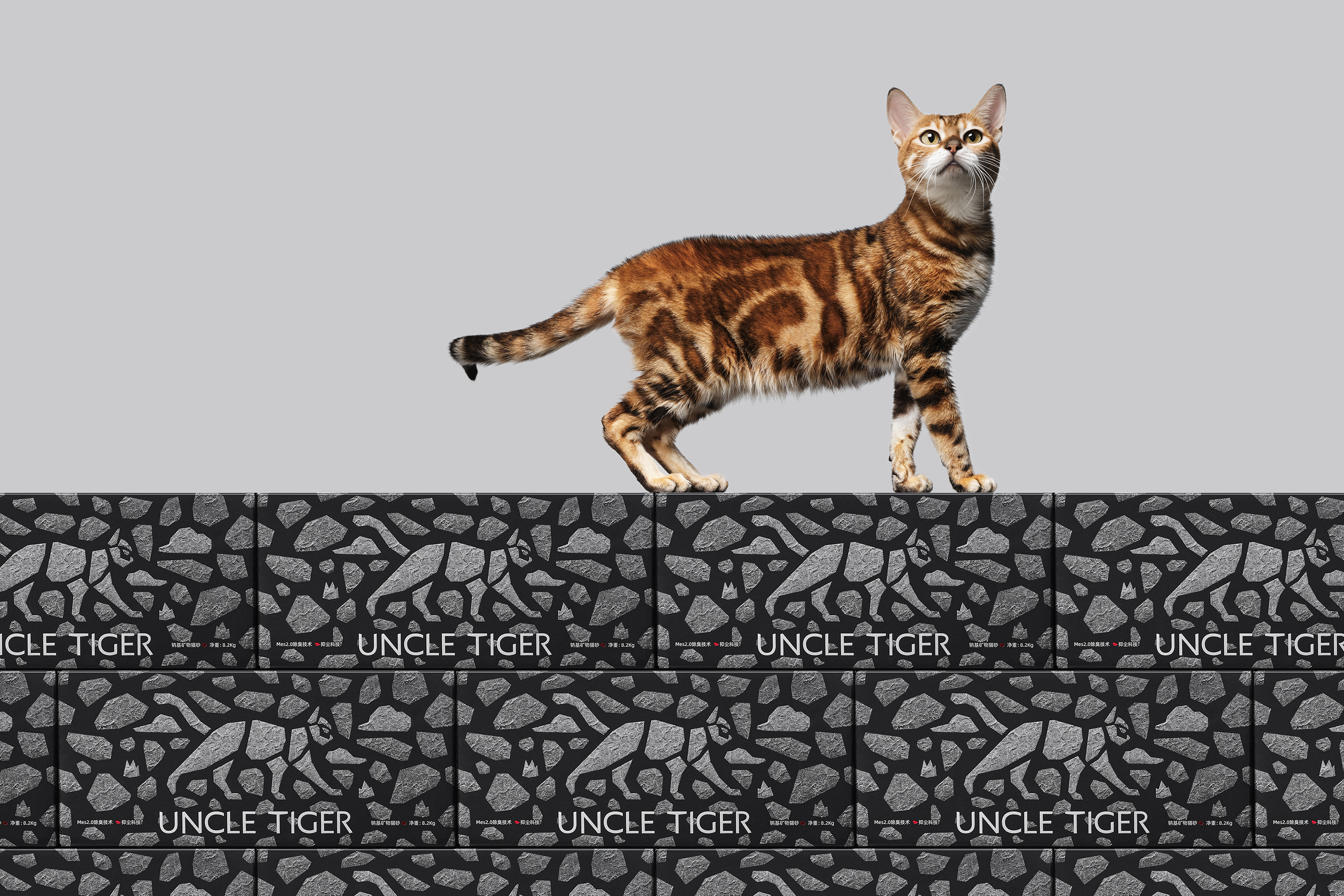 UNCLE TIGER 全案设计 - 图片