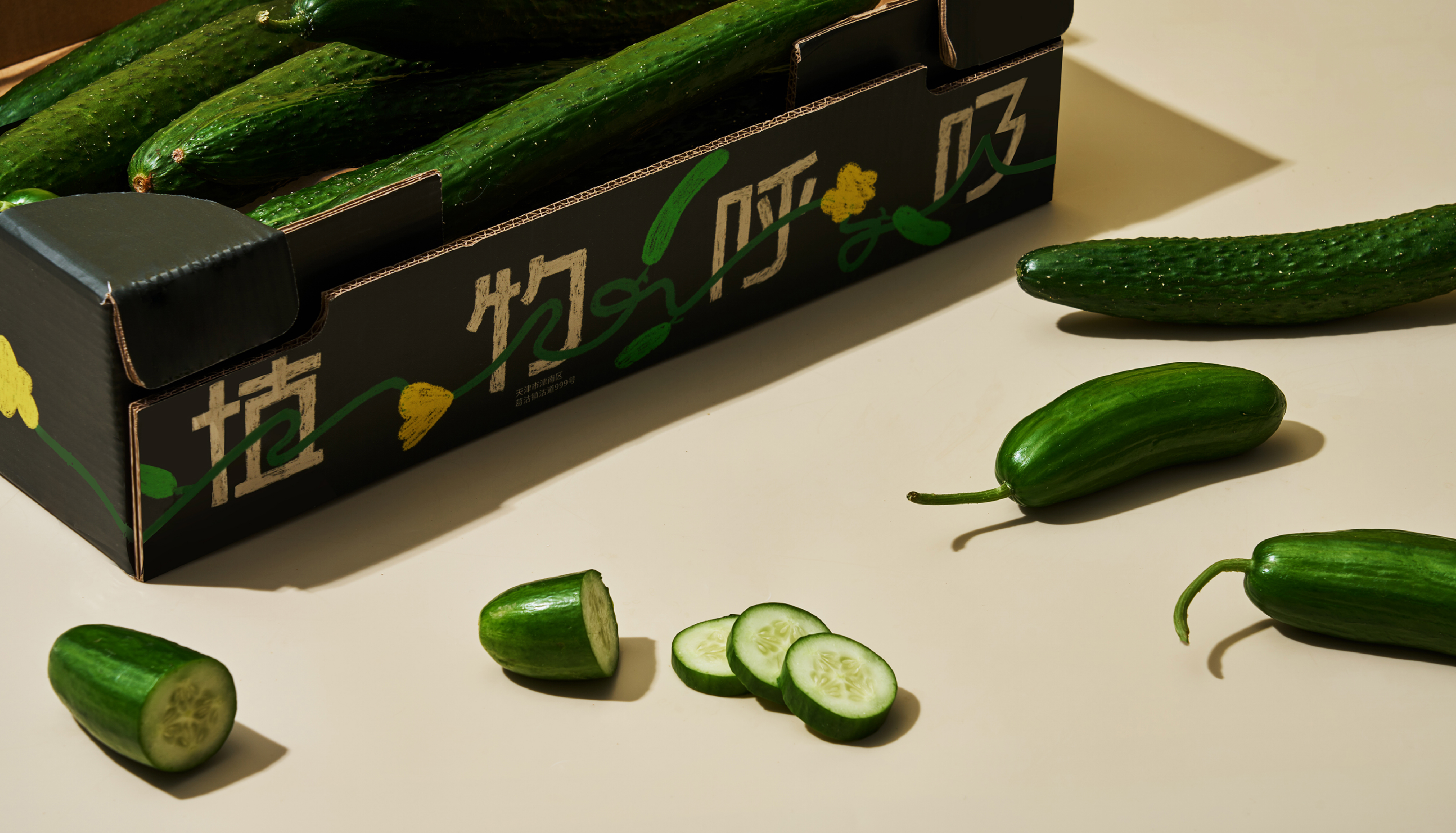 预览图