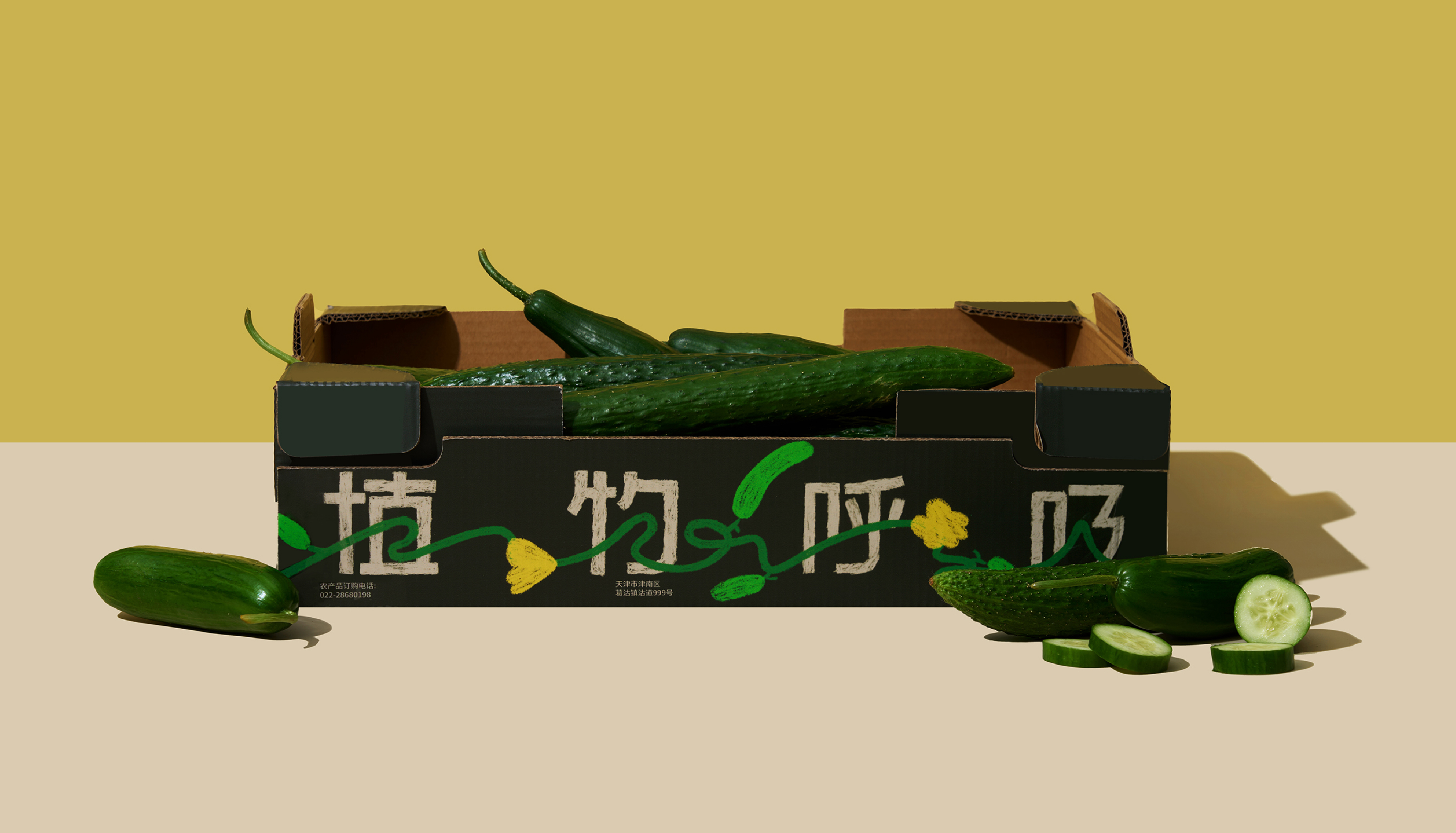 预览图