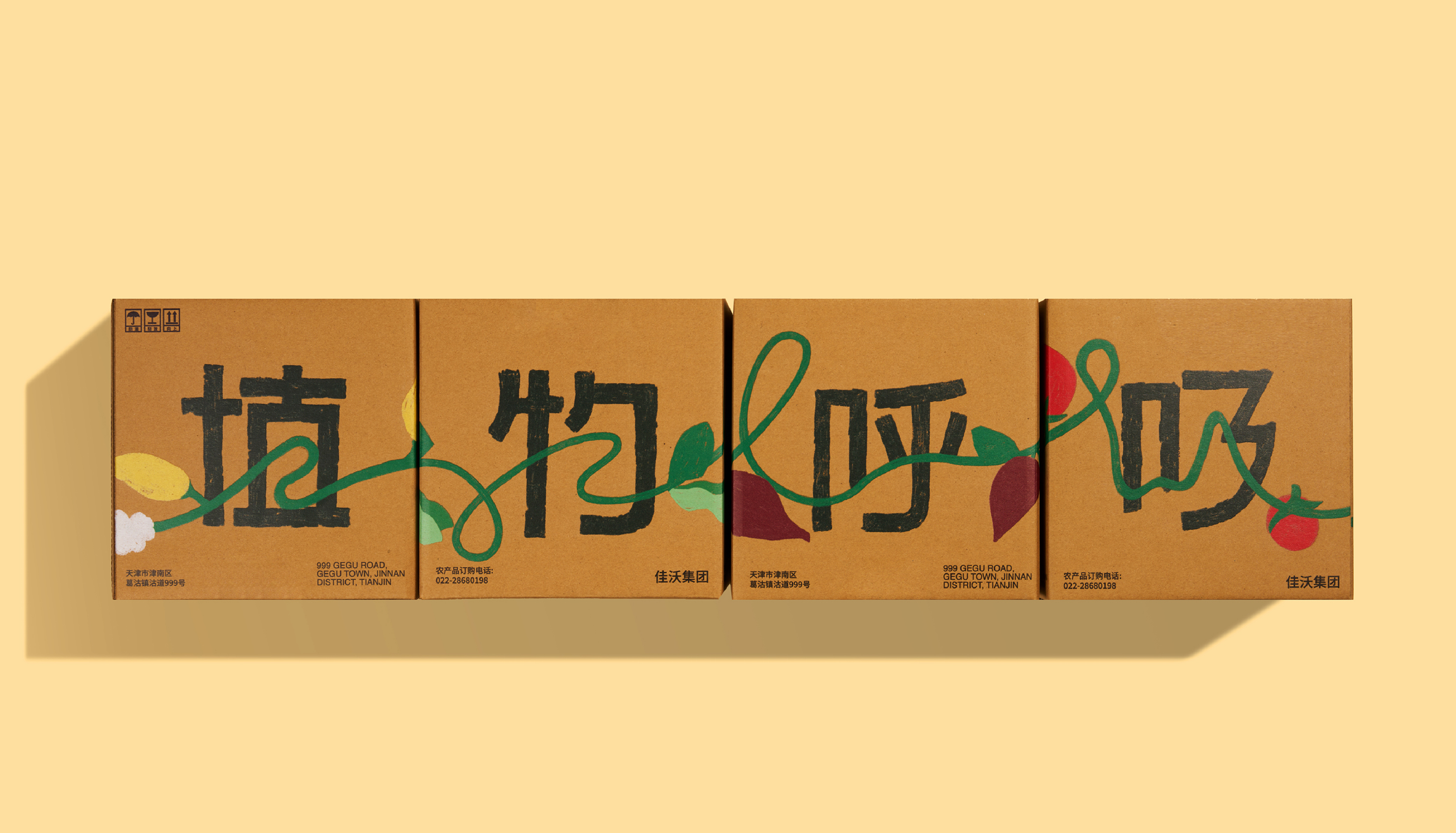 预览图